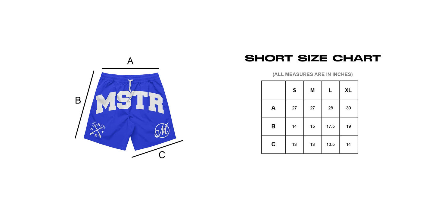 MSTR - ESCALATE COLLECTION "DECREE" EMBRO PATCH MESH SHORT (BLUE)