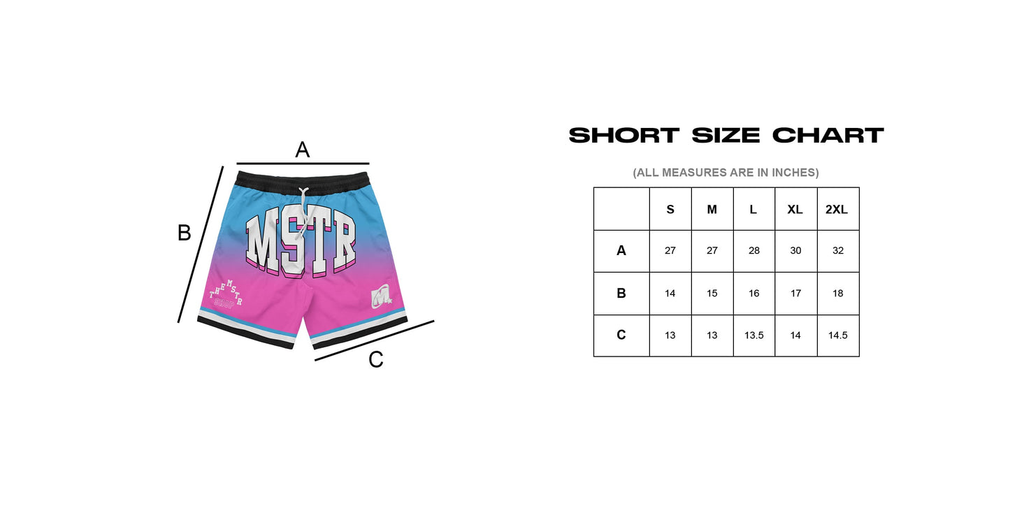 MSTR - WRANGLERS COLLECTION "OMBRE" MESH SHORT (BLUE-PINK)