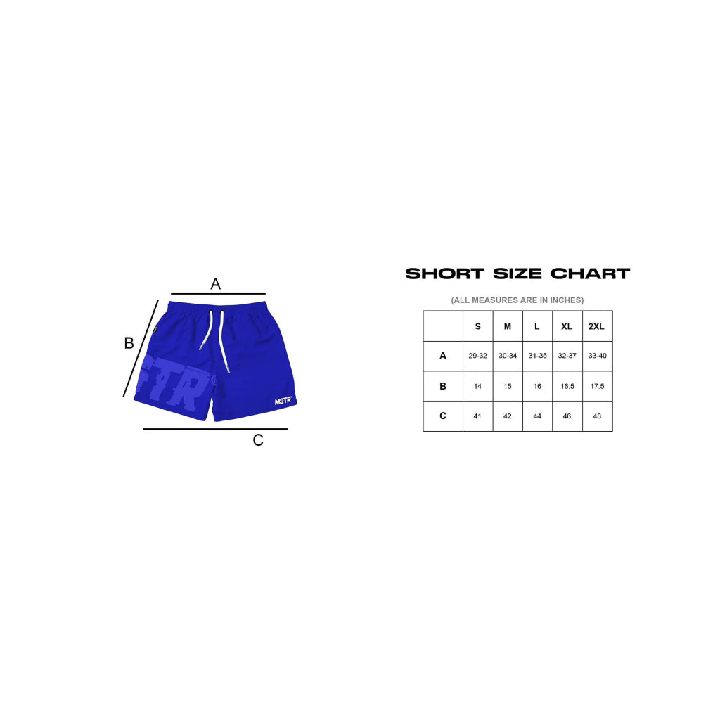 MSTR - ONSIDE COLLECTION SHORT (BLUE)